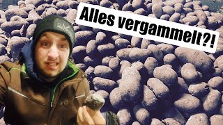 Farmvlog #347 | Gammel Kartoffeln zu Neujahr