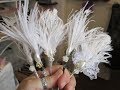 Gorgeous Feather Pick Tutorial - jennings644