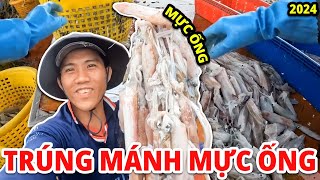 Ngư Dân Trúng Mánh, Bắt Được Những Mẻ Mực Ống Khổng Lồ | Anh Ngư Phủ Tổng Hợp