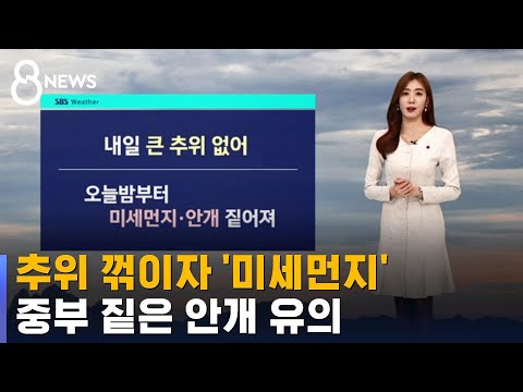[날씨] 미세먼지 '나쁨' 예상…중부 짙은 안개 유의 / SBS