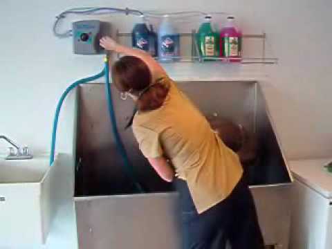 The Bath Master Bathing System Youtube The Bath Master Bathing System Youtube