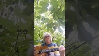 exercice de guitare, Le grand sommeil, Etienne Daho, mer. 09 08 2023