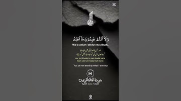#سورة_الكافرون #قرآن_كريم #قران_كريم #اكسبلور #دويتو