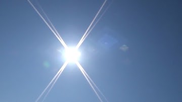 Melting Palms - Echoes (Official Music Video)