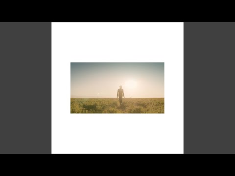 Like a Dream - Francis and the Lights