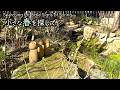 春の兆しを探して|2月中旬〜3月初旬の小さな雑木の庭