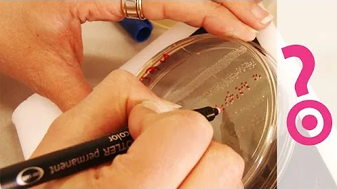 What Are "Superbugs"? - Do You Know?