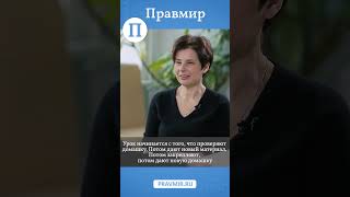 Анатолий Каспржак, профессор ВШЭ – о школьном образовании. Смотрите на «Правмире» #shorts