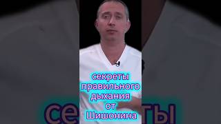 секреты правильного дыхания. Оригинальное видео взято с канала @shishonin