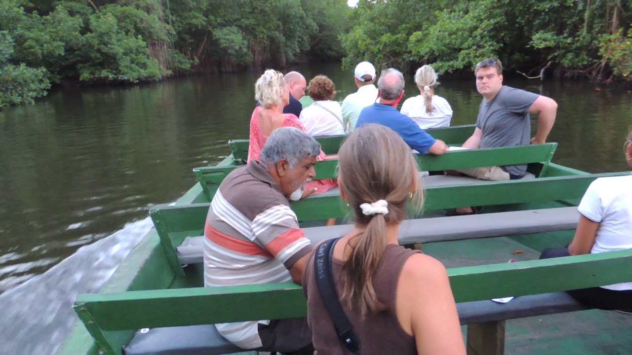  Cruising the Caroni Swamp on the west coast of Trinidad