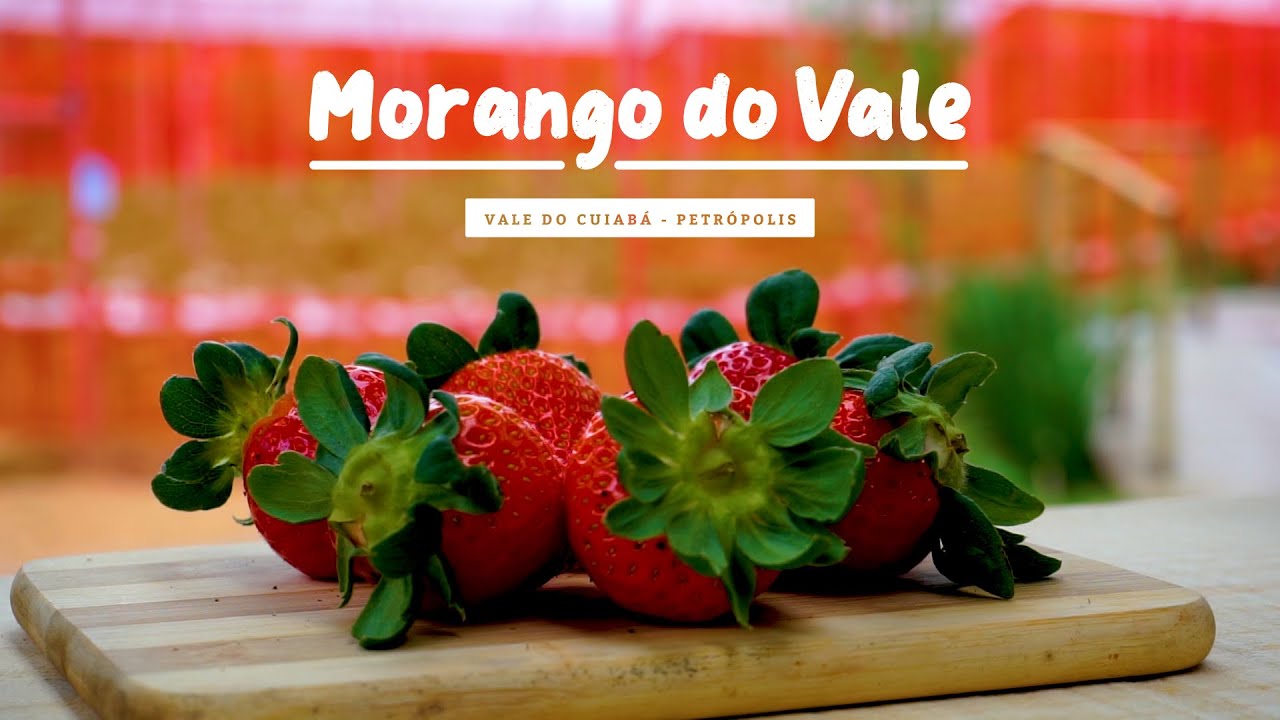 Morango do Vale - Parte 2 - YouTube