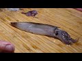 EATING RAW SQUID Right After We Catch Them! Squid Sustainability