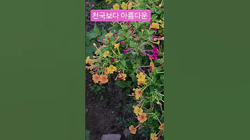 임영웅 천국보다 아름다운 