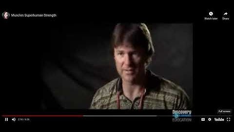 Anatomy notes Chapter 10,11.ppt - Google Slides