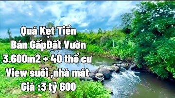 "Quá Kẹt Tiền" Anh Nhiều bán đất vườn 3.600m2 view suối có thổ cư giá 3 tỷ 600 ở BRVT