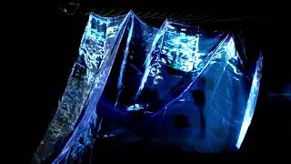 Compilation Original Videos for Vibrant Waves and Drifting Particles (2021)