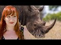 Les rhinocéros, une espèce en voie de disparition ? - Castor Mother au Zoo #02 - String Theory