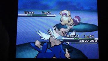 LIVE! Shiny Bibarel after 5362 REs!!! My 70th Shiny! Happy Canada Day!