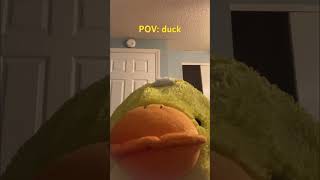 YouTube promised me more views #duck #ducky #ducktuber