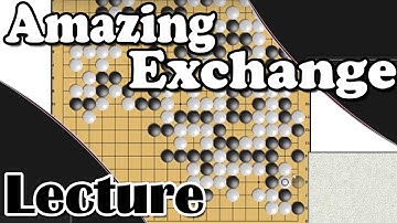 Bats Go Lecture Series - Amazing exchange!