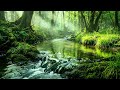 Forest Symphony, Gentle Stream Sounds and Chirping Birds, Relaxing Natural Ambience ASMR