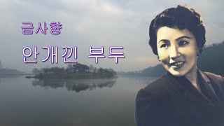 금사향-안개낀 부두/영상출연 가수 이나윤