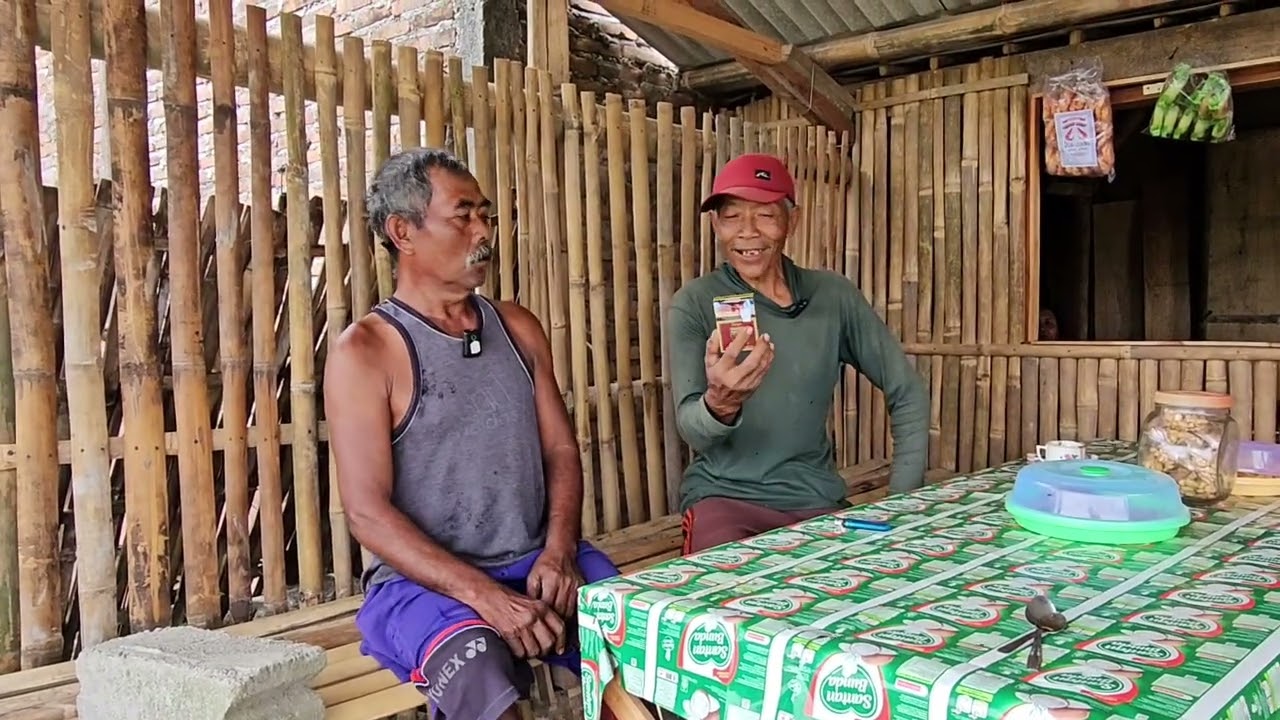 #PakNo Sekolahe Mbayare Nggawe Godong Kok Gampang Diplokoto#Ooallahh Pak Nooo Pak nooo Sobeekkk#