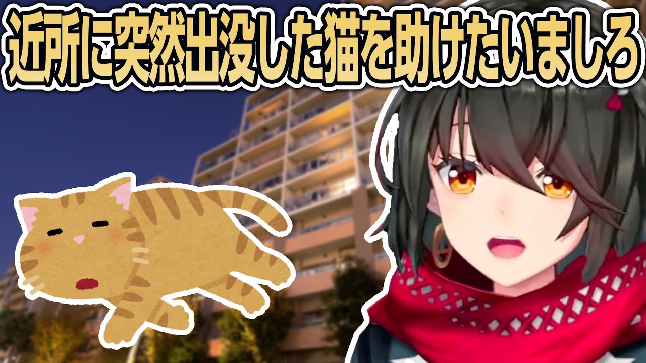 Mashiro wants to help a cat that suddenly appears in her