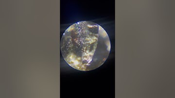 Augite Mineral Under a Microscope #shorts #microscope #minerals