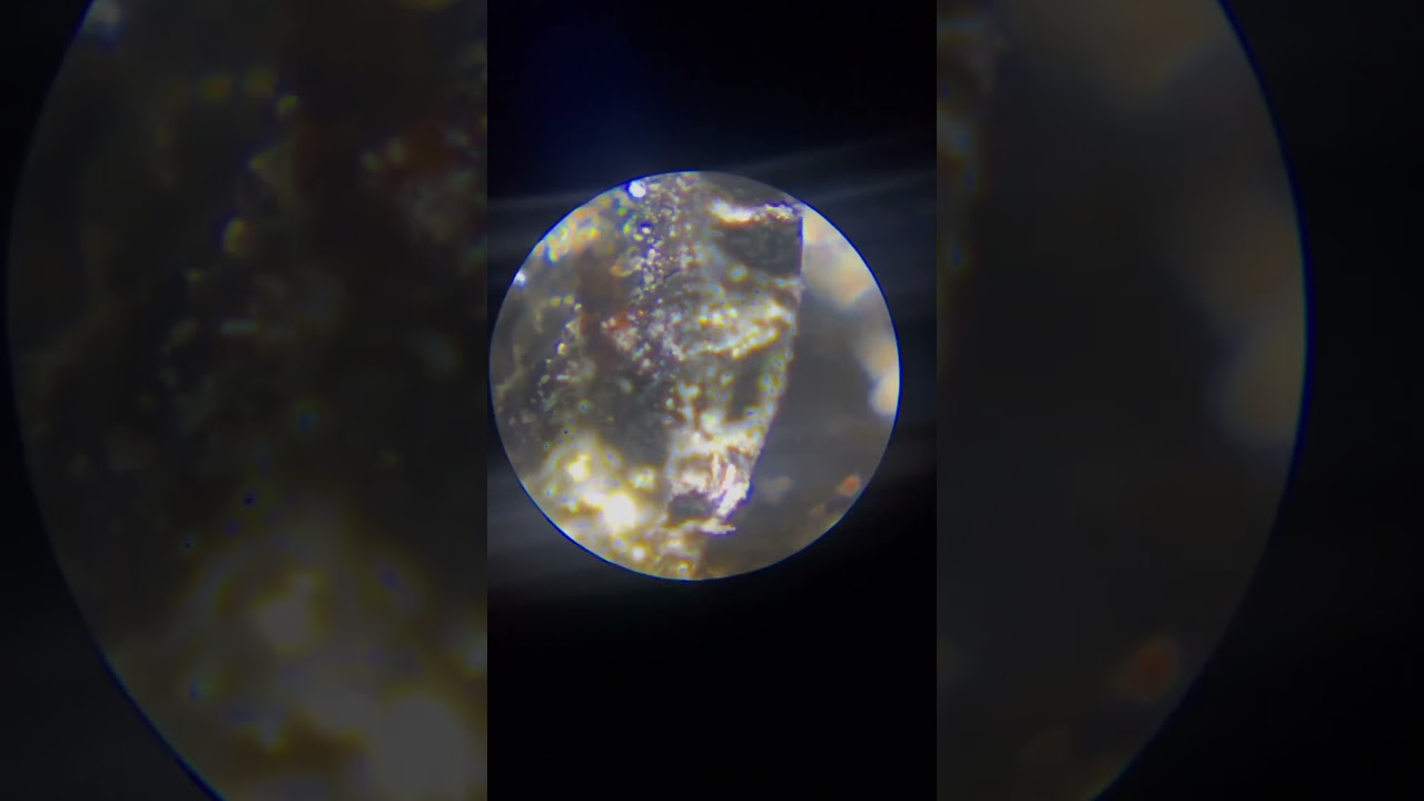 Augite Mineral Under a Microscope #shorts #microscope #minerals