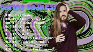 Los Temazos de Carlos Sadness Playlist 2026 Qué Electricidad Física Moderna y Otros Hits Inolvidable
