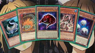 alligator deck yugioh Alligator's Sword Dragon [DT04-EN086] Common equip this card from your Graveyard to that monster My Alligator's Sword Dragon Yugioh
