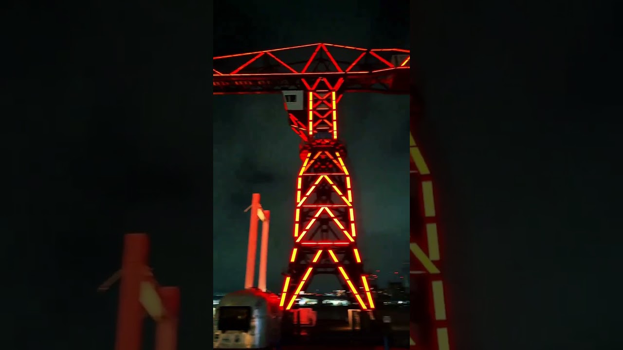 东京豊洲夜景 梦幻灯火交织的璀璨盛宴 宝子们 霓虹更璀璨 城市的夜晚 街景随拍 日本旅游 #旅行团 #专业导游 #日本接送机 #日本旅游 #定制旅游