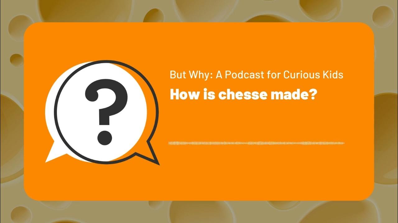 But Why Kids How is cheese made? Full Podcast Episode YouTube