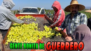 PANCHO Y LA SORPRENDENTE HISTORIA de su pueblo en GUERRERO