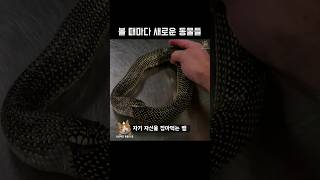 볼 때마다 새로운 동물들