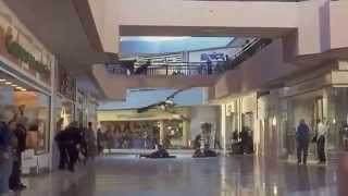 Evolution 2001 Full Hd Clip