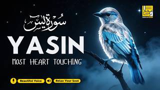 Beautiful Surah Yasin (Yaseen) سورة يس for Deep Sleep & Depression ✦ Relaxing Quran Recitation screenshot 1