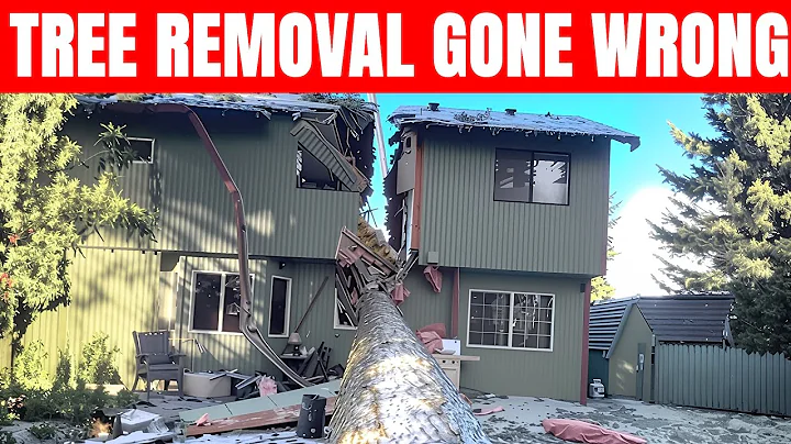 Idiots Cutting Trees With Chainsaws | Tree Falling & Chainsaw Fails Part 1