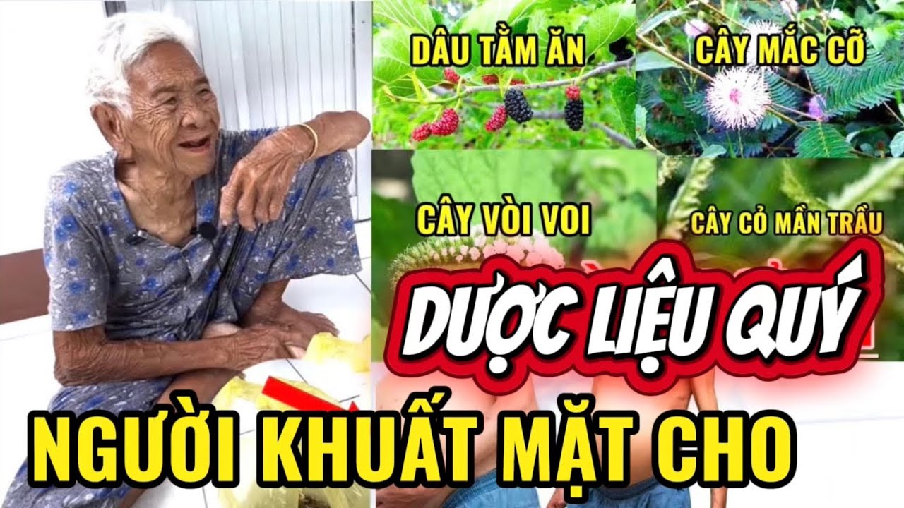 Cụ Bà 97 Tuổi Chia Sẻ Dược Liệu Quý - Bí Quyết Giúp Mắt Sáng Bằng Chanh Giấy