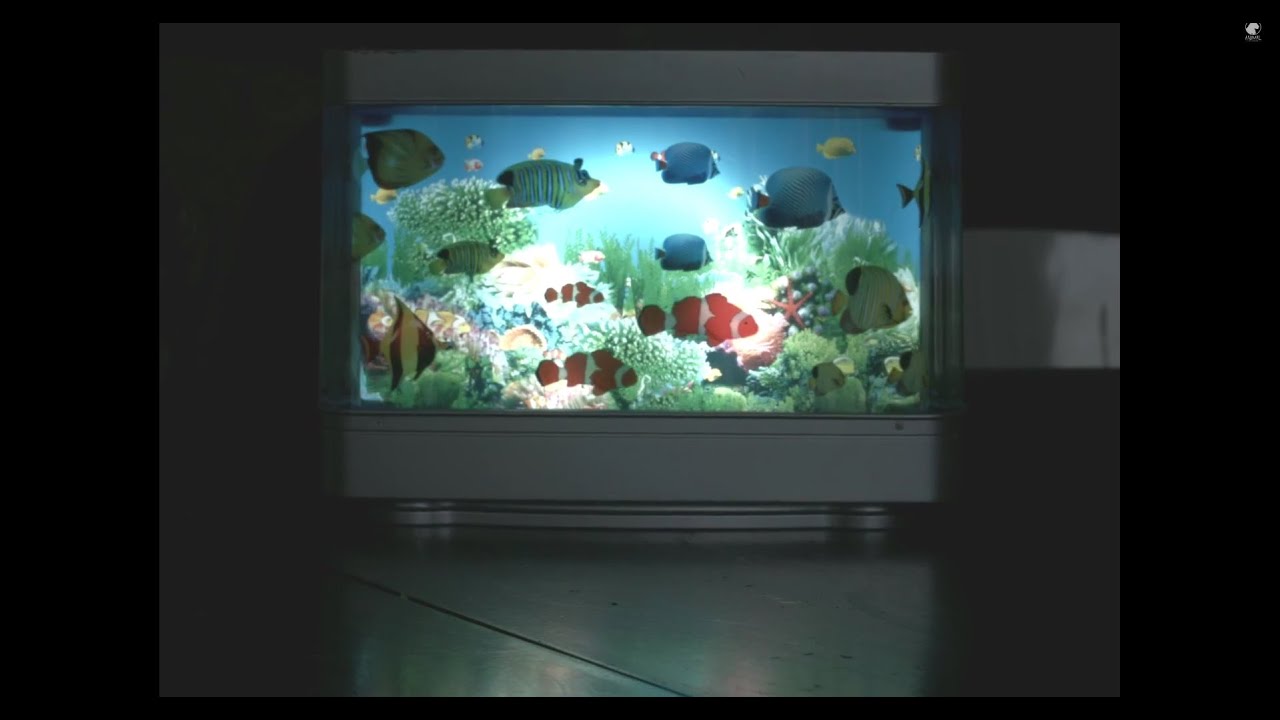 elbow Backbone - Vadim (Official Video)