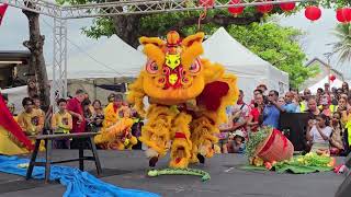 Lion vs Snake Routine - Highlights CNY 2024 (St Pierre/St Paul)