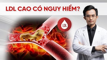 LDL Cao Có Nguy Hiểm Không? Đây Là Điều Bác Sĩ Muốn Bạn Biết! | Bác Sĩ Hải