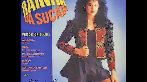 Quantos capítulos tem a novela Rainha da Sucata?