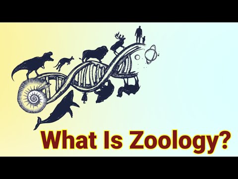 Video: Care sunt diferitele domenii ale zoologiei?