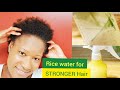 Rice water for stronger hair || Rice water for maximum hair growth