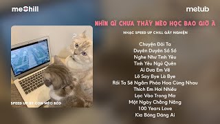 [playlist speedup] mèo cũng biết học bài đó, cậu cũng học ikkk