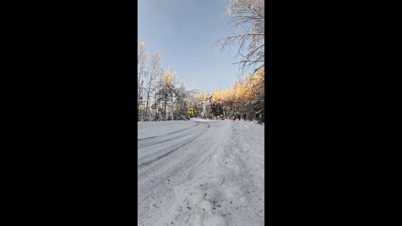 Who owned the Swedish snow? 👑