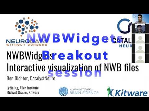 NWBWidgets for interactively visualizing NWB files