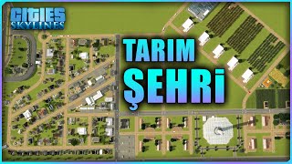 Tarım Şehri Büyüyor! Üniversite'de DEPREM Oldu 110 Yaralı - Cities Skylines [B10]